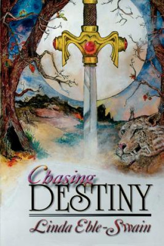 Kniha Chasing Destiny Linda Eble Swain