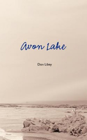 Knjiga Avon Lake Don Libey