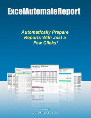 Книга Excel Automate Report Ceyvian C