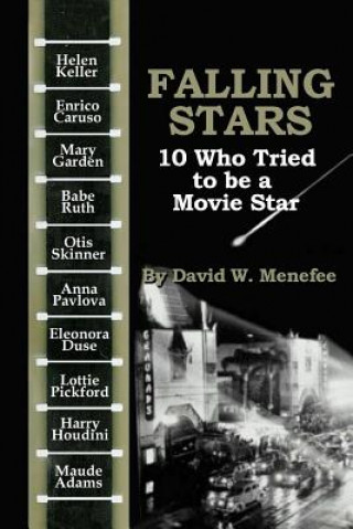 Kniha Falling Stars David W Menefee