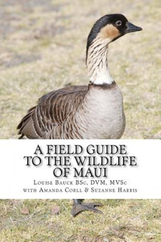 Kniha A Field Guide to the Wildlife of Maui Louise Bauck