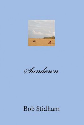 Buch Sundown Bob G Stidham