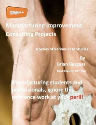 Kniha Manufacturing Improvement Consulting Projects: A Series of Various Case Studies MR Brian Burgess