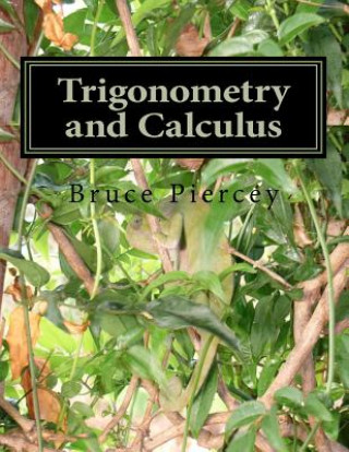 Könyv Trigonometry and Calculus: The african way Bruce Piercey