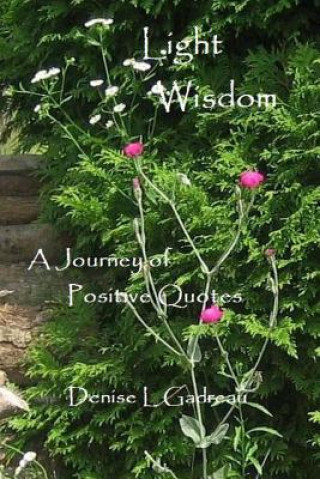 Knjiga Light Wisdom: A Journey of Positive Quotes Denise L Gadreau