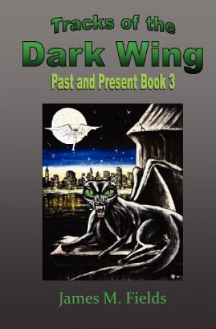 Kniha Tracks of the Dark Wing: Past and Present Book 3: Past and Present Book 3 MR James M Fields