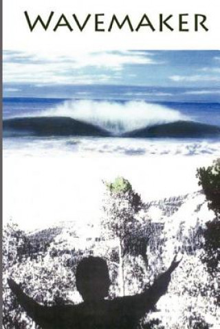 Knjiga Wavemaker Timothy E Dyer