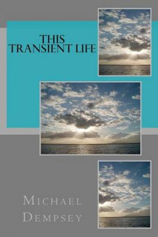 Книга This Transient Life Michael Dempsey