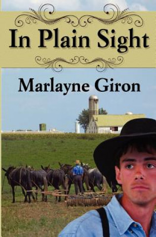 Knjiga In Plain Sight Mrs Marlayne Jan Giron