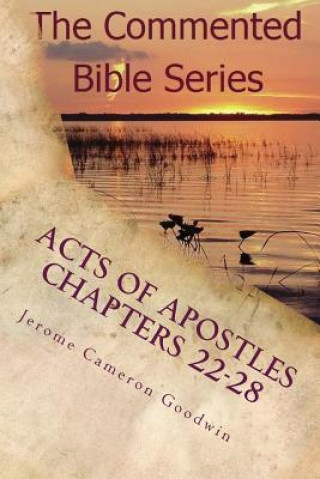 Książka Acts of Apostles Chapters 22-28: Keep on Bearing Witness to the Truth Jerome Cameron Goodwin