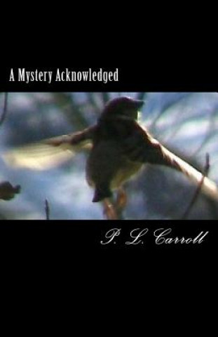 Kniha A Mystery Acknowledged: The Pearl, Blood and Ecstasy P L Carroll