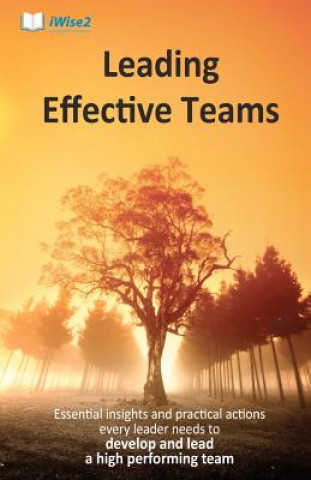 Kniha Leading Effective Teams: Essential insights and practical actions every leader needs to develop and lead a high performing team Martin M Thomas