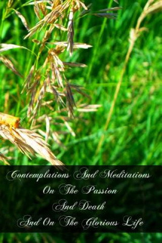 Knjiga Contemplations And Meditations On The Passion And Death And On The Glorious Life: Of Our Lord Jesus Christ Rev W H Eyre S J