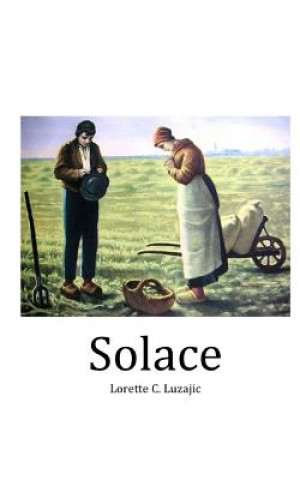 Book Solace Lorette C Luzajic