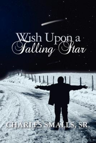 Knjiga Wish Upon a Falling Star Charles C Smalls Sr