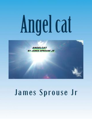 Kniha Angel cat: Angelcat book of beginning MR James Sprouse Jr