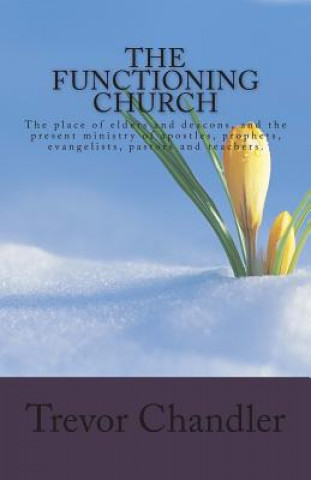 Kniha The Functioning Church Trevor Chandler