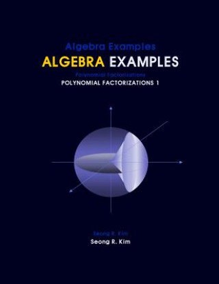 Livro Algebra Examples Polynomial Factorizations 1 Seong R Kim
