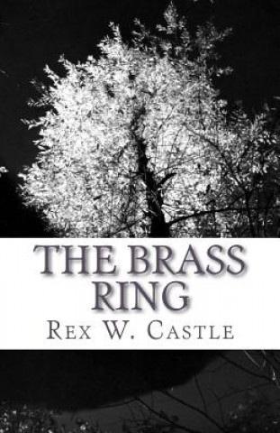 Boek The Brass Ring: How to hire really happy really smart people (and pay them really well) Rex W Castle
