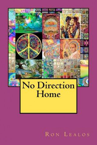 Buch No Direction Home Ron Lealos