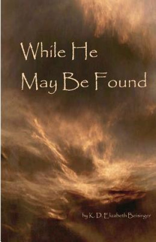 Kniha While He May Be Found K D Elizabeth Beisinger