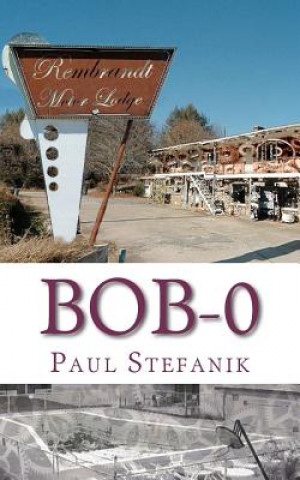 Book Bob-0: The Future is Static MR Paul J Stefanik