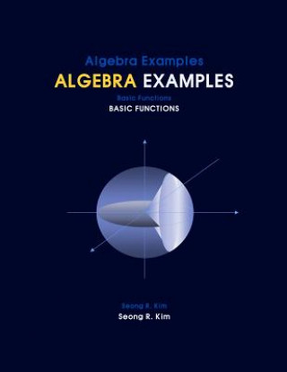 Książka Algebra Examples Basic Functions Seong R Kim