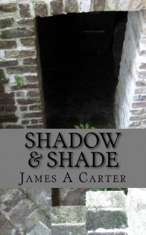 Knjiga Shadow & Shade James A Carter