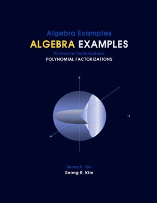 Kniha Algebra Examples Polynomial Factorizations Seong R Kim
