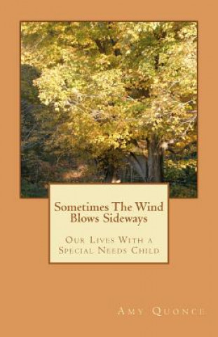 Knjiga Sometimes The Wind Blows Sideways Amy Quonce