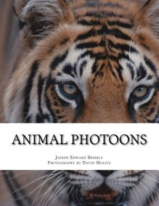 Książka Animal Photoons: Photoons Are Sort Of Like Cartoons Dr Joseph Edward Brierly Ph D