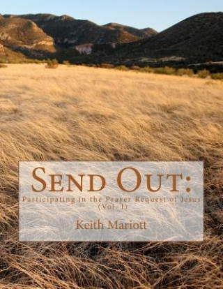 Kniha Send Out: : Participating in the Prayer Request of Jesus Rev Keith Mariott