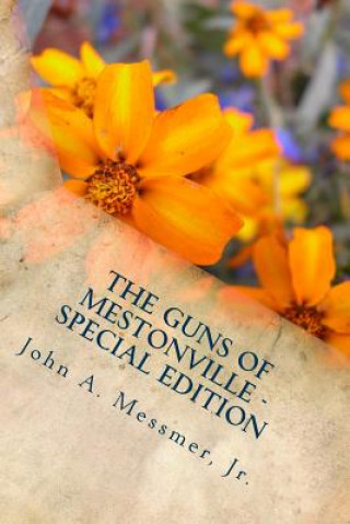 Könyv The Guns of Mestonville - Special Edition MR John a Messmer Jr