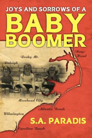 Книга Joys & Sorrows of a Baby Boomer S A Paradis