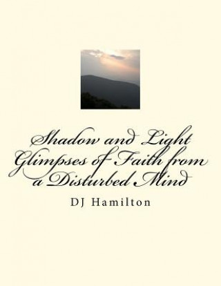 Kniha Shadow and Light; Glimpses of Faith from a Disturbed Mind; DJ Hamilton Deidra Shuck-Lee