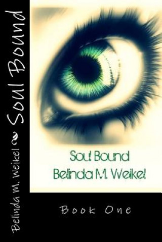 Buch Soul Bound Belinda M Weikel