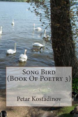 Kniha Song Bird (Book Of Poetry 3) Petar Kostadinov
