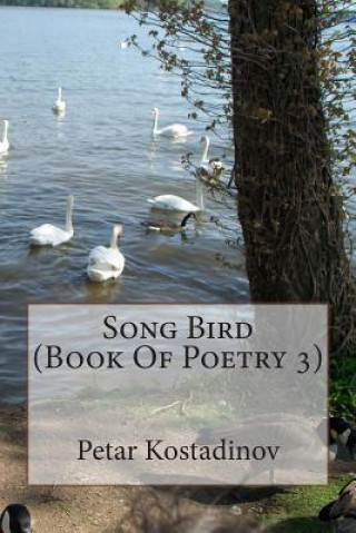 Buch Song Bird (Book Of Poetry 3) Petar Kostadinov