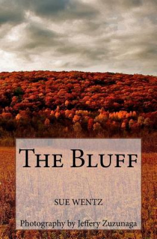 Knjiga The Bluff Sue Wentz