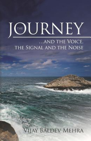 Buch Journey...and the voice, the signal and the noise Vijay Baldev Mehra