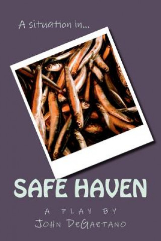 Book A Situation in... Safe Haven John DeGaetano