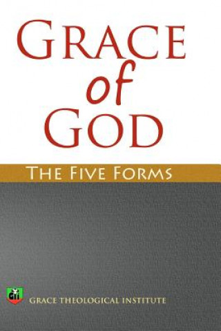 Książka Grace of God: The Five Forms Abi Olowe