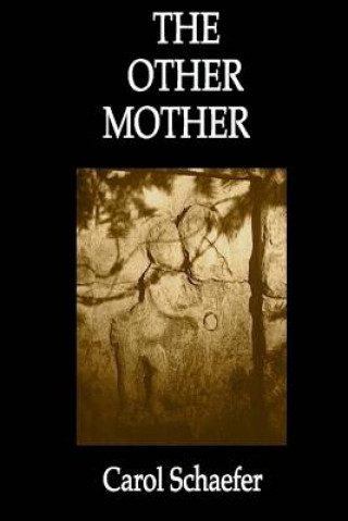 Kniha The Other Mother Carol Schaefer