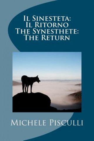 Carte Il Sinesteta: Il Ritorno The Synesthete: The Return Dr Michele Pisculli