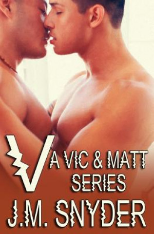 Boek V: A Vic and Matt Series J M Snyder