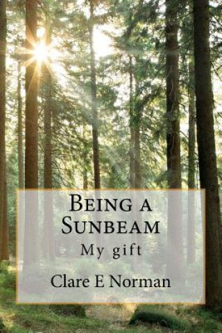 Livre Being a Sunbeam Clare E Norman Pcc