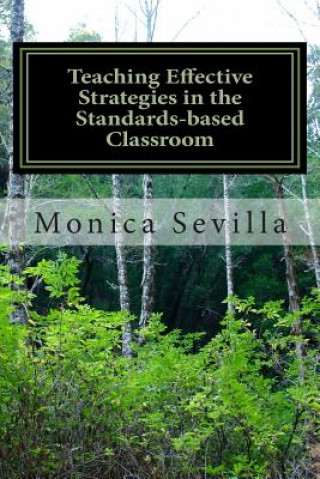 Könyv Teaching Effective Strategies in the Standards-based Classroom Monica Sevilla
