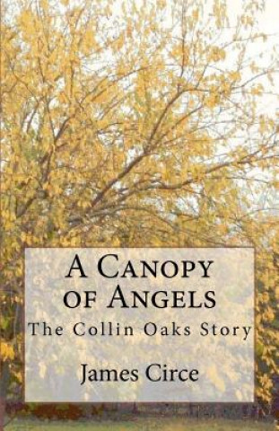 Kniha A Canopy of Angels: The Collin Oaks Story James Circe