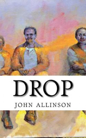 Kniha Drop MR John F Allinson