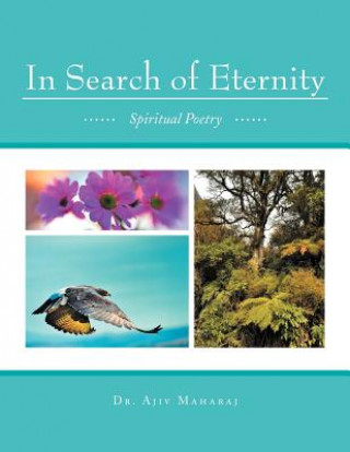 Carte In Search of Eternity Dr Ajiv Maharaj